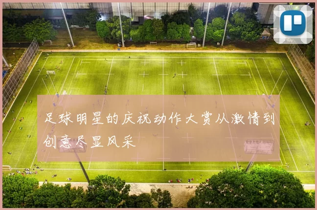 足球明星的庆祝动作大赏从激情到创意尽显风采