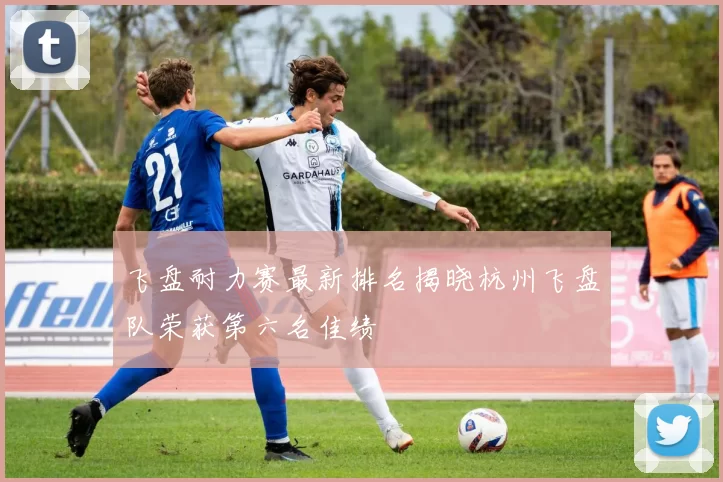 飞盘耐力赛最新排名揭晓杭州飞盘队荣获第六名佳绩