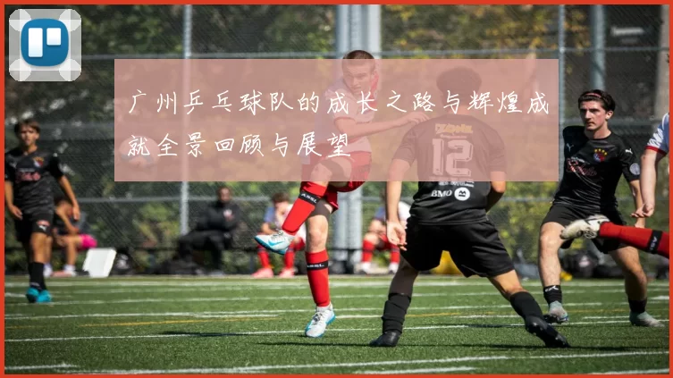 广州乒乓球队的成长之路与辉煌成就全景回顾与展望