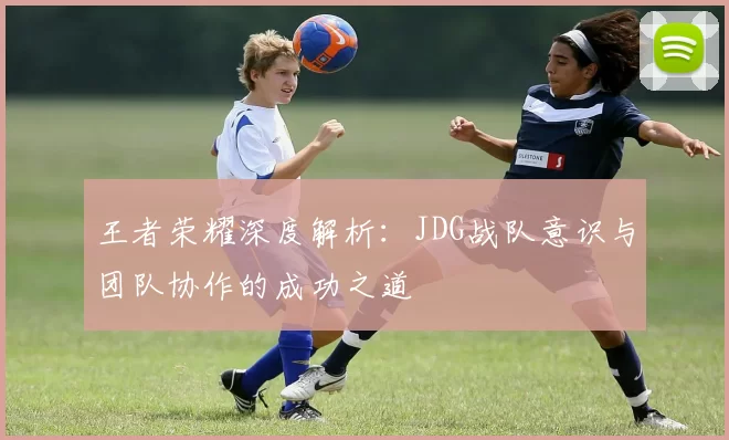 王者荣耀深度解析：JDG战队意识与团队协作的成功之道
