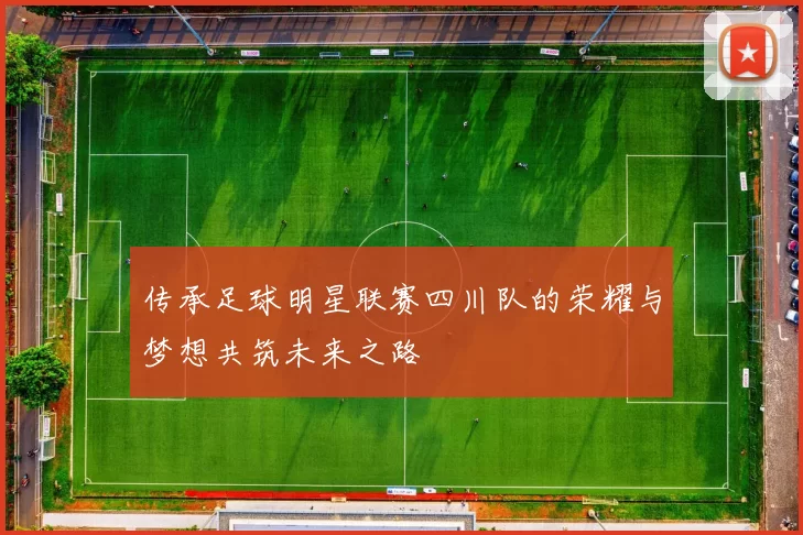 传承足球明星联赛四川队的荣耀与梦想共筑未来之路