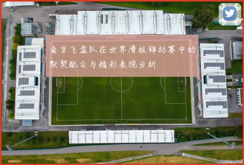 南京飞盘队在世界滑板锦标赛中的默契配合与精彩表现分析