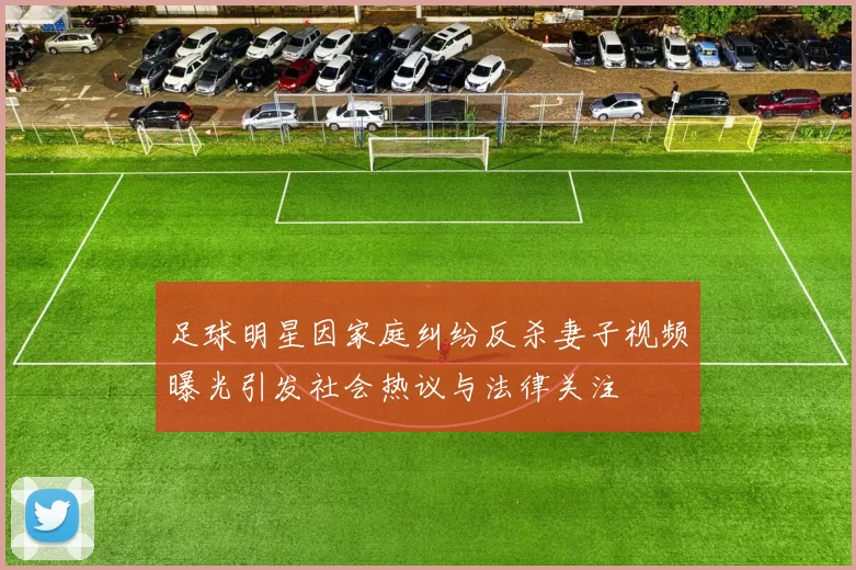 足球明星因家庭纠纷反杀妻子视频曝光引发社会热议与法律关注