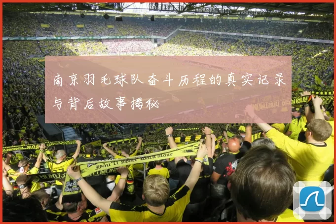 南京羽毛球队奋斗历程的真实记录与背后故事揭秘