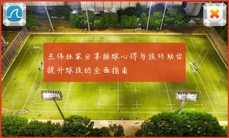 王伟独家分享排球心得与技巧助你提升球技的全面指南