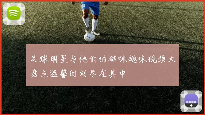 足球明星与他们的猫咪趣味视频大盘点温馨时刻尽在其中