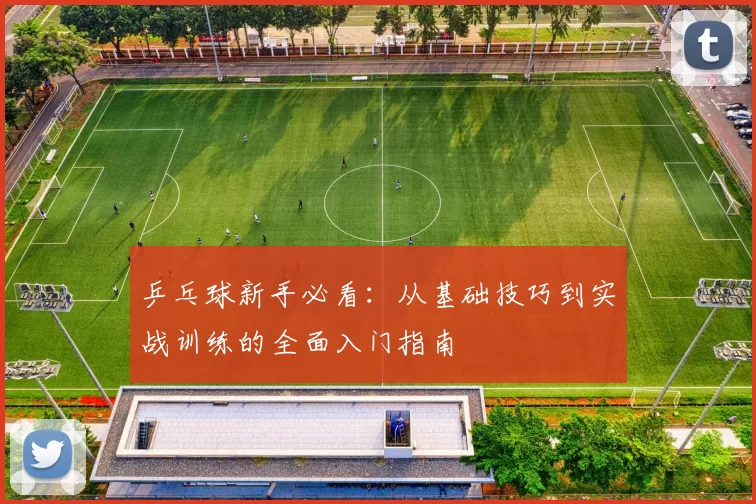 乒乓球新手必看：从基础技巧到实战训练的全面入门指南