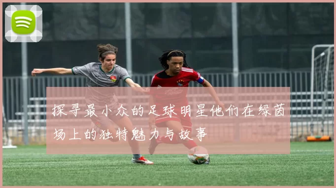 探寻最小众的足球明星他们在绿茵场上的独特魅力与故事