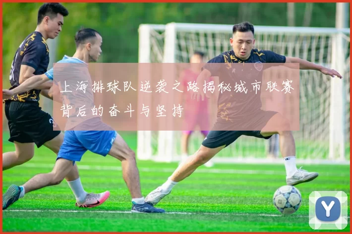 上海排球队逆袭之路揭秘城市联赛背后的奋斗与坚持