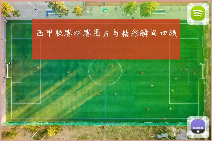 西甲联赛杯赛图片与精彩瞬间回顾