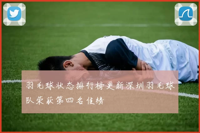 羽毛球状态排行榜更新深圳羽毛球队荣获第四名佳绩
