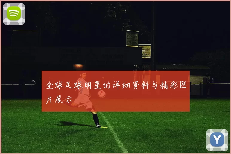 全球足球明星的详细资料与精彩图片展示