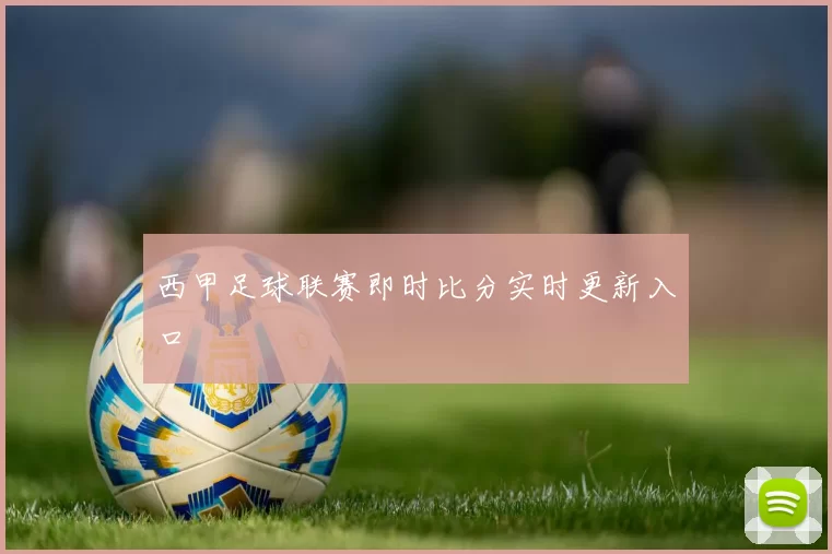 西甲足球联赛即时比分实时更新入口