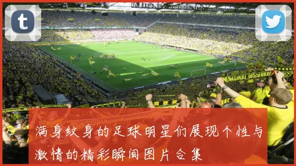 满身纹身的足球明星们展现个性与激情的精彩瞬间图片合集