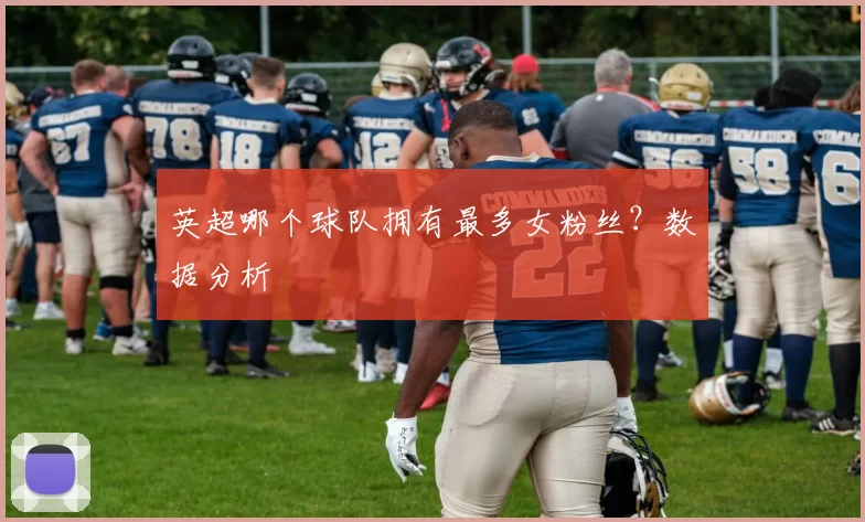 英超哪个球队拥有最多女粉丝？数据分析
