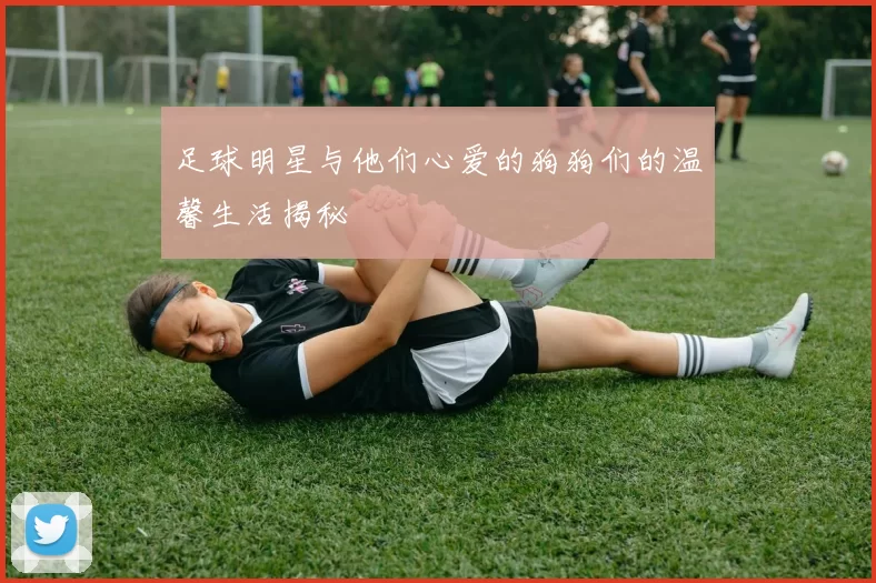 足球明星与他们心爱的狗狗们的温馨生活揭秘