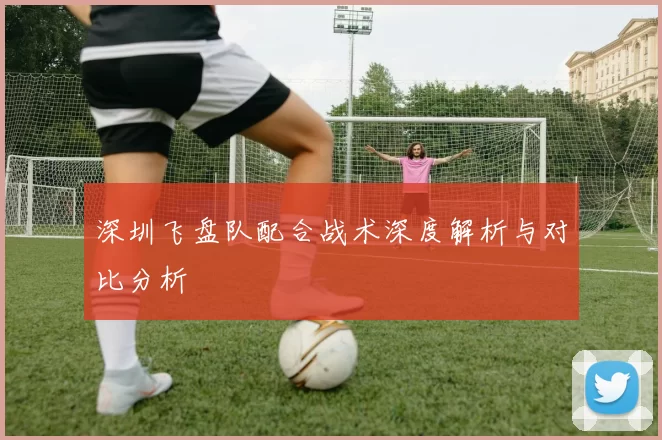 深圳飞盘队配合战术深度解析与对比分析