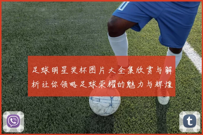 足球明星奖杯图片大全集欣赏与解析让你领略足球荣耀的魅力与辉煌