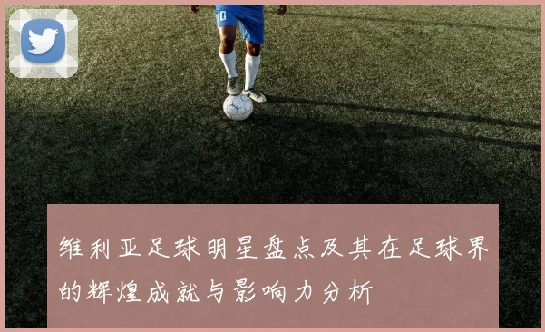 维利亚足球明星盘点及其在足球界的辉煌成就与影响力分析