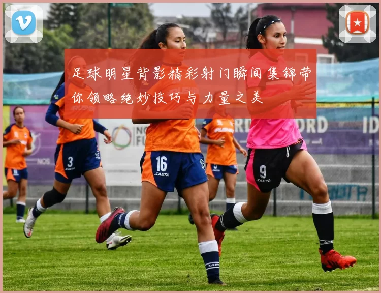 足球明星背影精彩射门瞬间集锦带你领略绝妙技巧与力量之美
