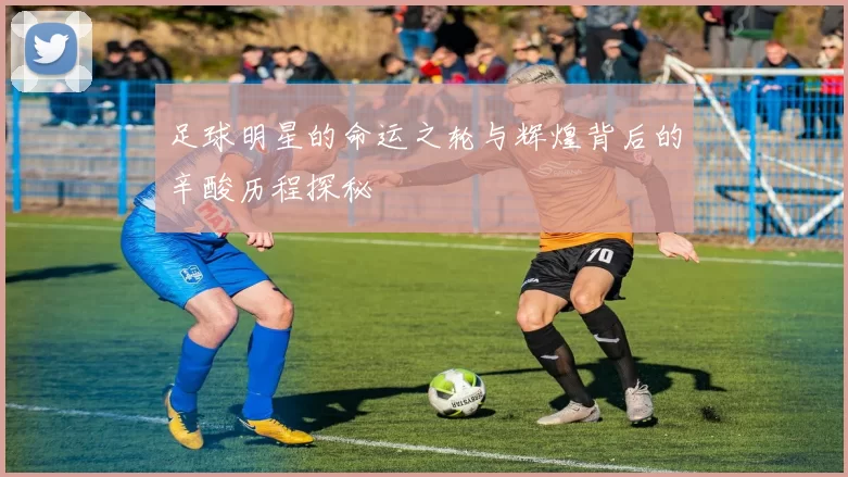 足球明星的命运之轮与辉煌背后的辛酸历程探秘