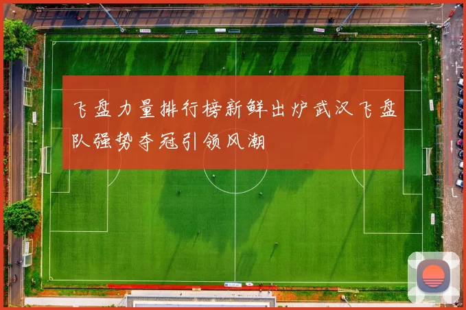 飞盘力量排行榜新鲜出炉武汉飞盘队强势夺冠引领风潮