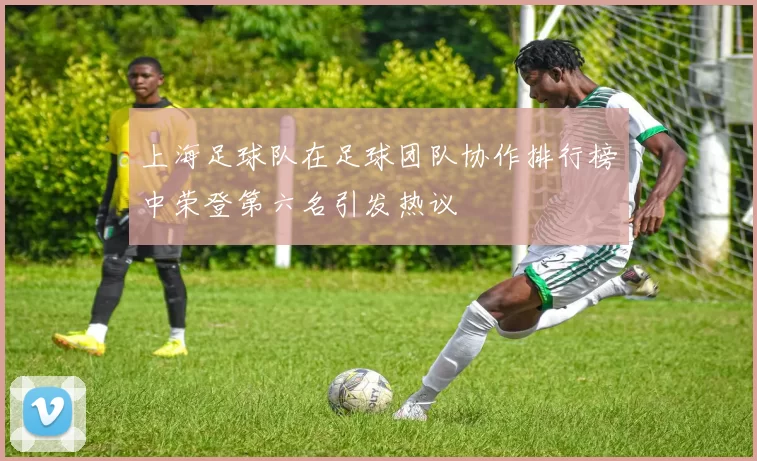 上海足球队在足球团队协作排行榜中荣登第六名引发热议
