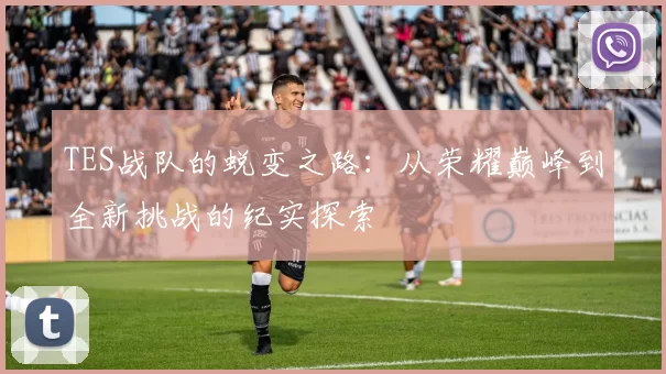 TES战队的蜕变之路：从荣耀巅峰到全新挑战的纪实探索