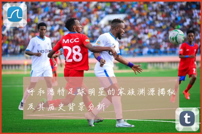 呼和浩特足球明星的家族渊源揭秘及其历史背景分析