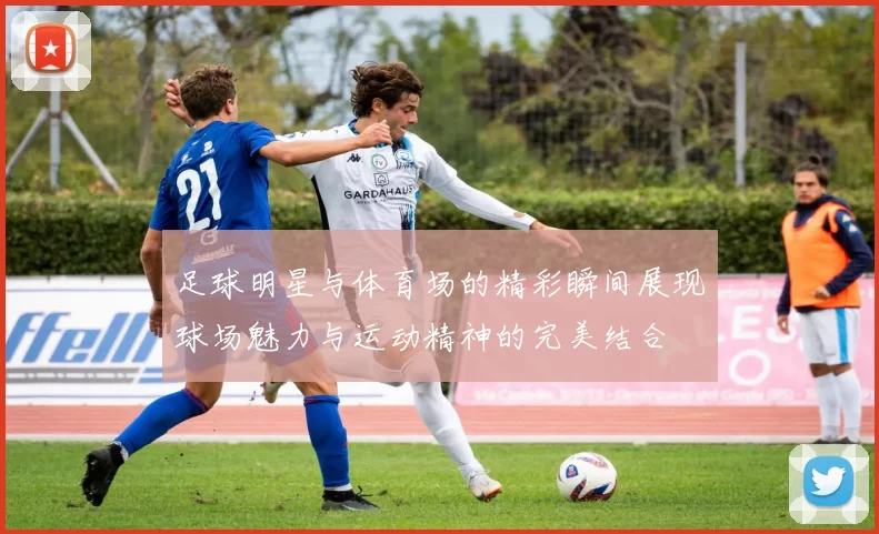 足球明星与体育场的精彩瞬间展现球场魅力与运动精神的完美结合